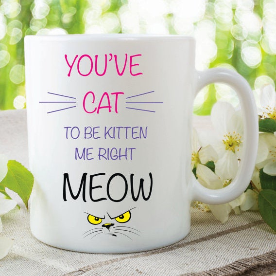 FUNNY CAT MUG, Cat Lover Coffee Mug, Funny Coffee Mug, Sarcastic Coffee Cup, Handmade Coffee Cup, Cute Coffee Mug, Tea Mug, Gift Mug